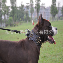 Load image into Gallery viewer, Large leather Dog Collar