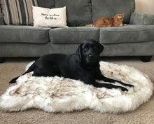 Load image into Gallery viewer, Plush Pet Bed
