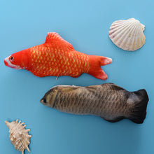 Load image into Gallery viewer, Electric Fish Toy
