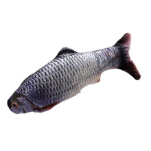 Load image into Gallery viewer, Electric Fish Toy
