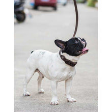 Load image into Gallery viewer, Leash For Large Dogs
