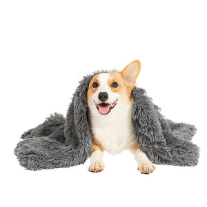 Double Blanket